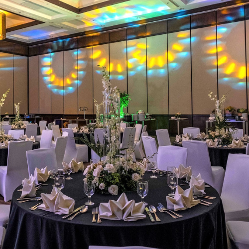 08 Seda Ayala Function Dec2025