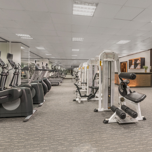 09 Seda Ayala Gym Dec2025